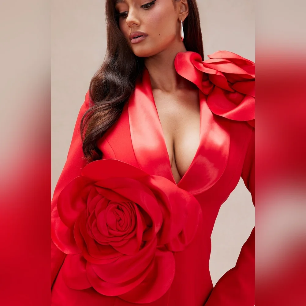 Fashion Nova Suit Set - Picture 5 of 10